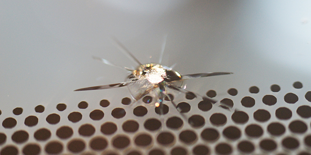 こちらも飛び石でできたヒビ